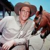 James Arness Diamond Painting