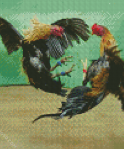 Rooster Fighting Diamond Painting