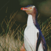 Yellow Eyed Penguin Diamond Painting