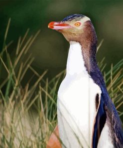 Yellow Eyed Penguin Diamond Painting