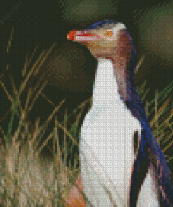 Yellow Eyed Penguin Diamond Painting