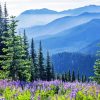 Olympic National Park Diamond Painting