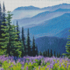 Olympic National Park Diamond Painting