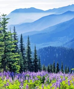 Olympic National Park Diamond Painting