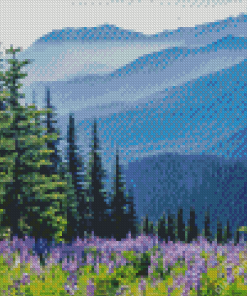 Olympic National Park Diamond Painting