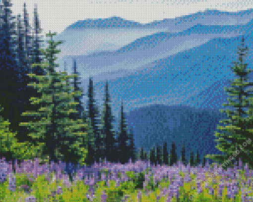 Olympic National Park Diamond Painting