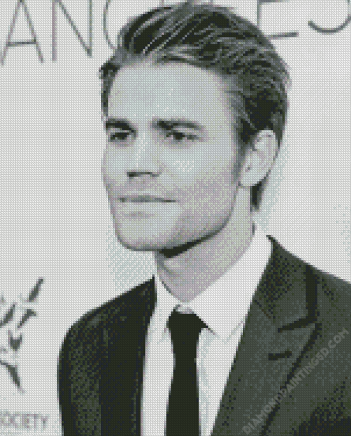 Black And White Paul Wesley Diamond Painting