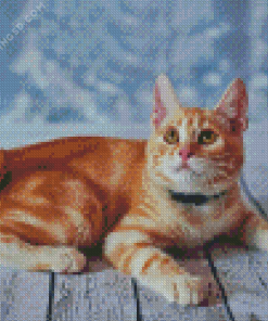 Bobtail Art Diamond Painting