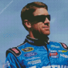 Carl Edwards Diamond Painting