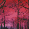 Forest Pink Tree Diamond Painting