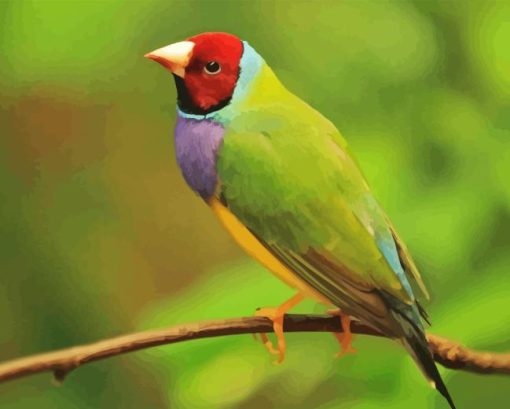 https://diamondpaintings5d.com/wp-content/uploads/2024/03/Gouldian-Finch-Diamond-With-Numbers.png