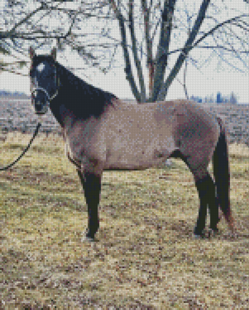 Grullo Horse Diamond Painting