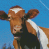 Guernsey Cow Diamond Painting