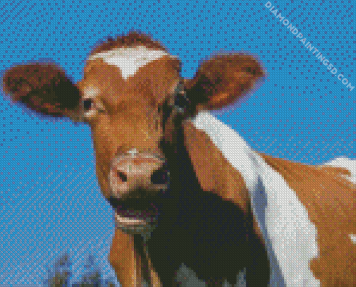 Guernsey Cow Diamond Painting