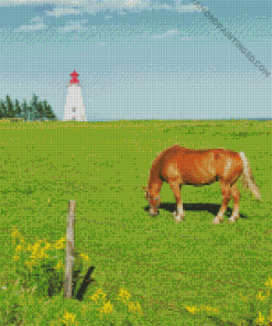 Horses with Lighthouse Diamond Painting