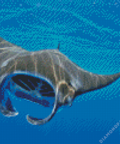 Manta Rays Diamond Painting