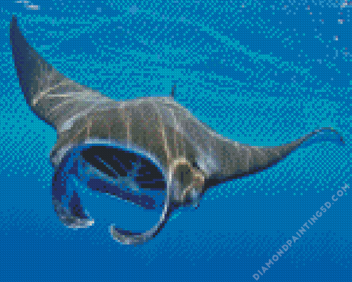 Manta Rays Diamond Painting