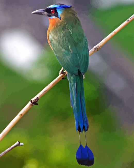 Motmot Bird Diamond Painting