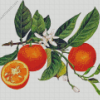 Orange Blossoms Diamond Painting