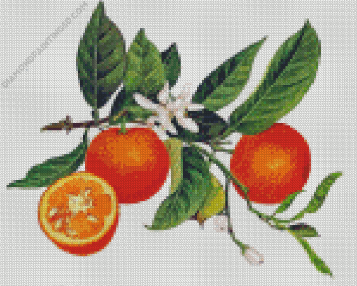 Orange Blossoms Diamond Painting