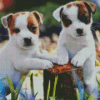 Parson Russell Terrier Diamond Painting