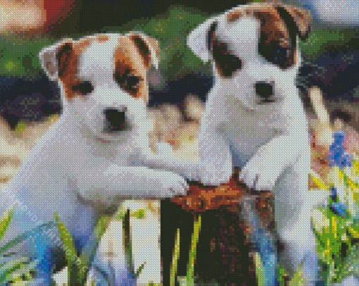 Parson Russell Terrier Diamond Painting