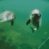 Porpoise Diamond Painting