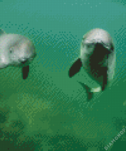 Porpoise Diamond Painting