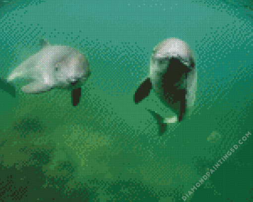 Porpoise Diamond Painting