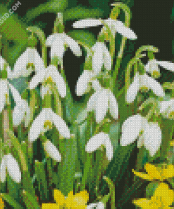 Snowdrop Flower Diamond Painting