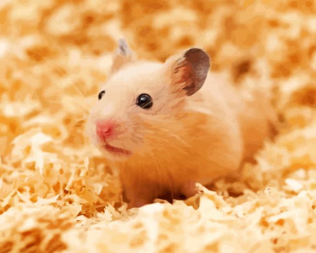 Syrian Hamster Diamond Painting