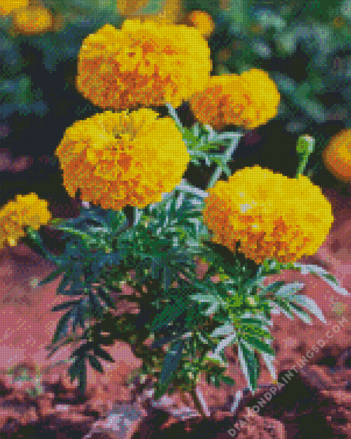 Tagetes Erecta Diamond Painting