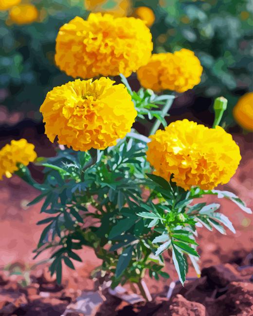 Tagetes Erecta Diamond Painting