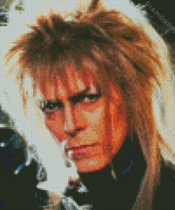 Goblin King Jareth Labyrinth Diamond Painting