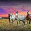 Western Horses Diamond Painting