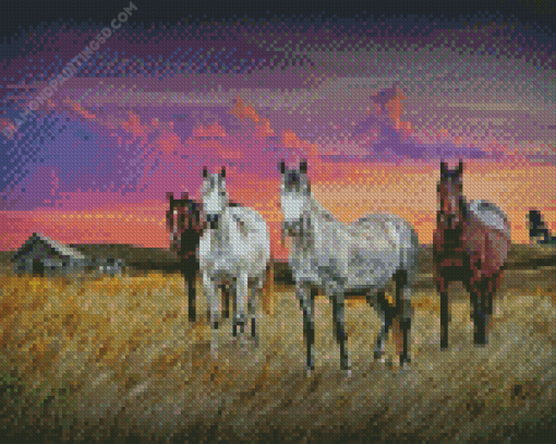 Western Horses Diamond Painting