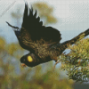 Yellow Tailed Black Cockatoo Diamond Painting