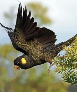 Yellow Tailed Black Cockatoo Diamond Painting