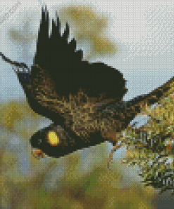 Yellow Tailed Black Cockatoo Diamond Painting