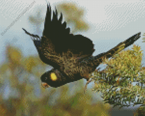 Yellow Tailed Black Cockatoo Diamond Painting