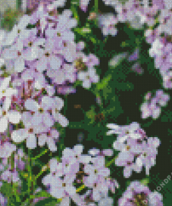 Alyssum Diamond Painting