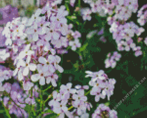 Alyssum Diamond Painting