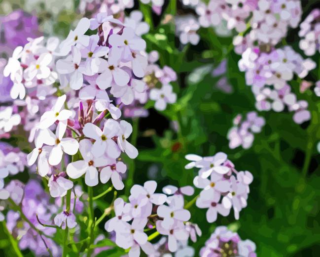 Alyssum Diamond Painting