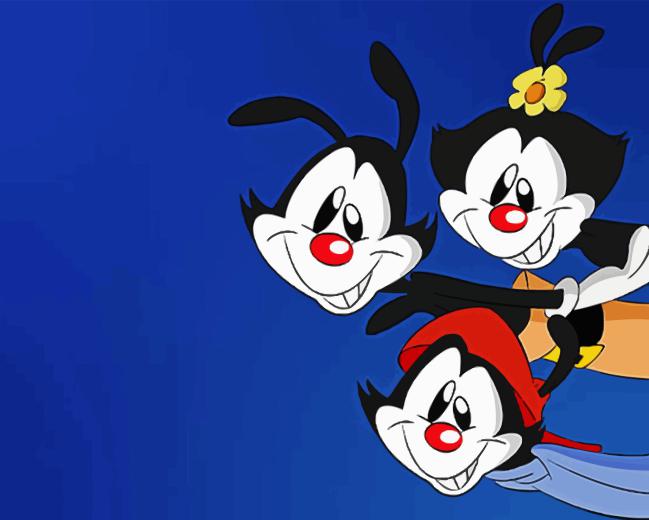 Animation Animaniacs Diamond Painting