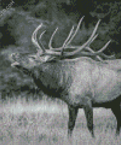 Black and White Elk Diamond Painting