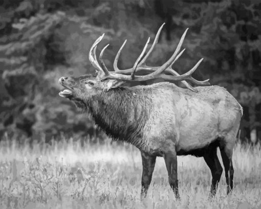 Black and White Elk Diamond Painting