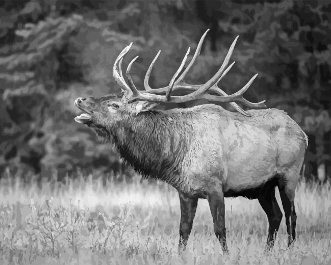 Black and White Elk Diamond Painting