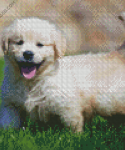 Cream Dog Diamond Painting