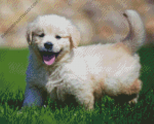 Cream Dog Diamond Painting