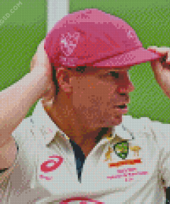 David Warner Diamond Painting